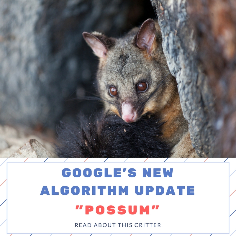 Google’s ‘Possum’ Algorithm Update | Rank Ranger